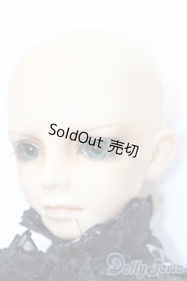 画像3: SD13BOY/教室Aヘッド+13BOY分割ボディ S-24-12-15-151-GN-ZS (3)