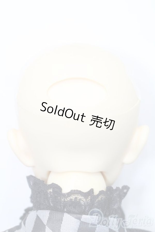 画像5: SD13BOY/教室Aヘッド+13BOY分割ボディ S-24-12-15-151-GN-ZS (5)