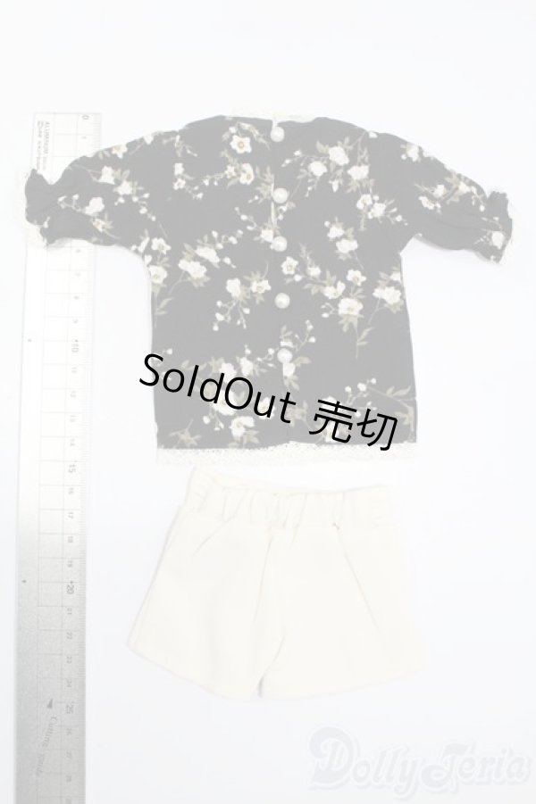 画像2: SDM＆MSD/OF:衣装セット S-25-03-23-492-GN-ZS (2)