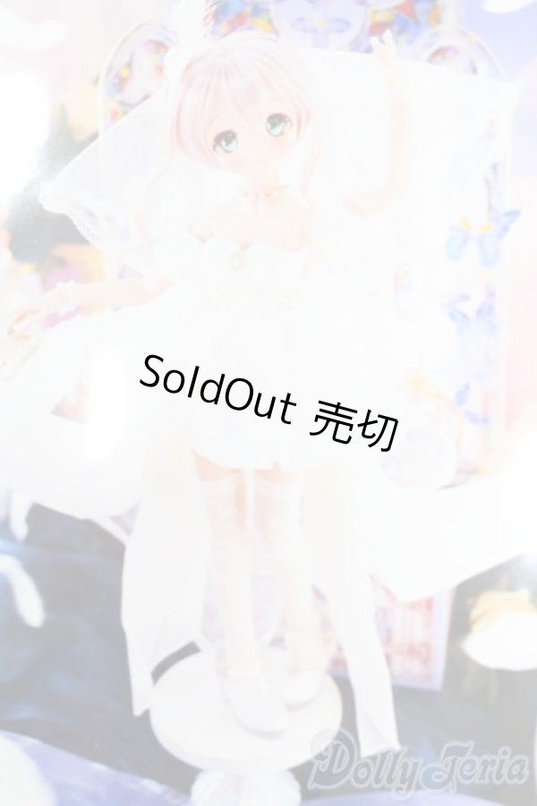 画像1: MDD/OF:衣装セット S-25-11-09-365-GN-ZS (1)