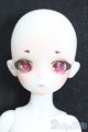 画像: DOLL ZONE/Miyou S-25-05-04-664-GN-ZS