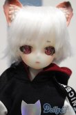 画像1: 【新宿マルイアネックス店 店頭販売商品】DOLL ZONE/Miyou　2100150000001892-ZM (1)