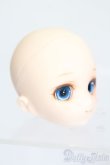 画像3: PARABOX/CHARA手描き彩色ヘッド S-25-04-13-511-GN-ZS (3)