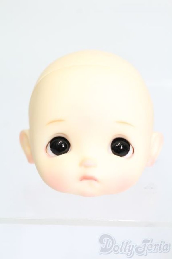 画像1: STODOLL/ヘッド S-25-03-30-468-GN-ZS (1)