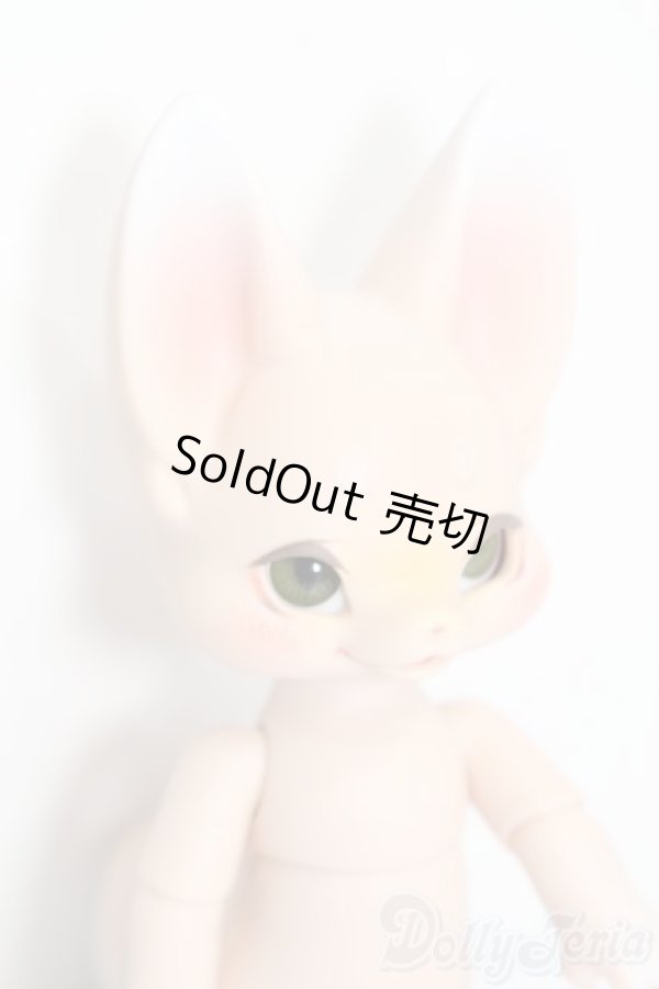 画像3: KUMUKUKU DOLL/PETAL VILL:Kiri S-24-12-22-351-GN-ZS (3)