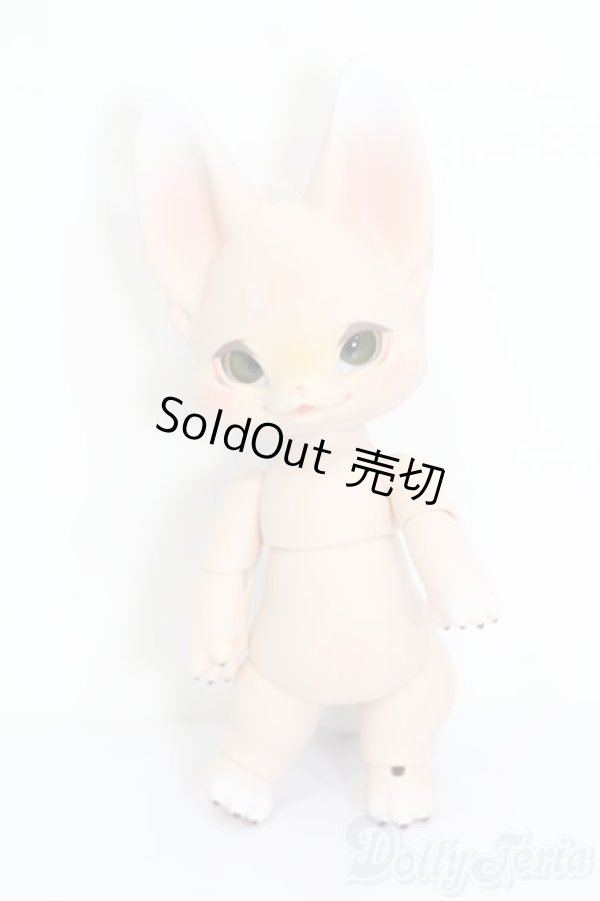 画像4: KUMUKUKU DOLL/PETAL VILL:Kiri S-24-12-22-351-GN-ZS (4)