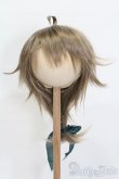 画像1: 9inch/ウィッグ S-25-03-23-370-GN-ZS (1)