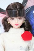 画像1: ジェニー/シオン カレンダーガール　日本文化史5月 S-25-02-16-370-GN-ZS (1)