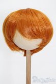 画像1: 8-9inch/ウィッグ S-25-04-20-163-GN-ZS (1)