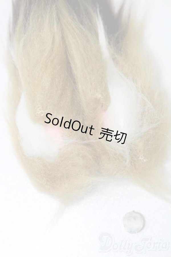 画像5: SD/OF:小物 S-25-11-16-535-GN-ZS (5)