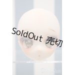 画像: 【新宿マルイアネックス店 店頭販売商品】DDH-01/カスタムヘッド　2100150000003064-ZM