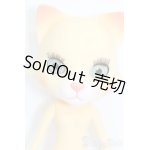 画像: おでこちゃんとニッキ/ゆめみるニッキ S-25-01-19-164-GN-ZS