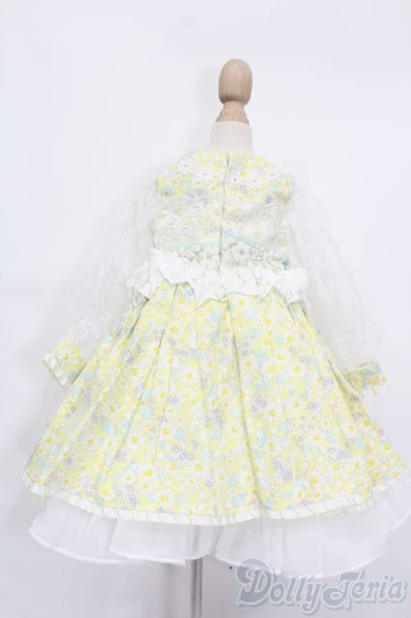 画像3: SDM＆MSD/OF:CHARME(シャルム)様製ドレス S-25-11-09-538-GN-ZS (3)