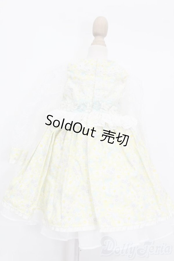 画像3: SDM＆MSD/OF:CHARME(シャルム)様製ドレス S-26-02-01-407-GN-ZS (3)