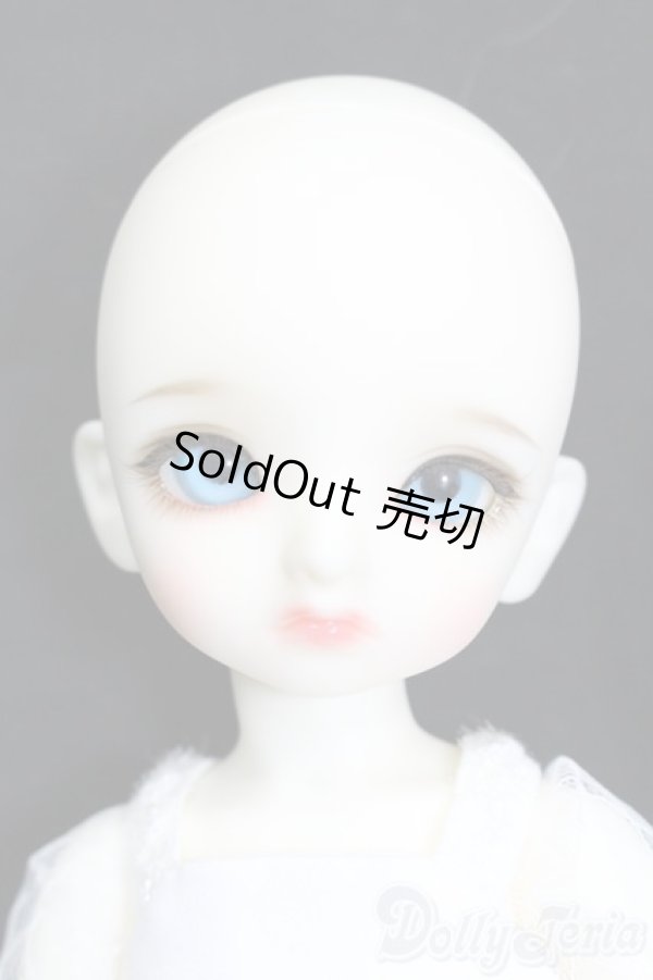 画像3: 【DOLK×BJD CROBI】White Cat Tori Girl -Limited- S-26-01-25-501-GN-ZS (3)