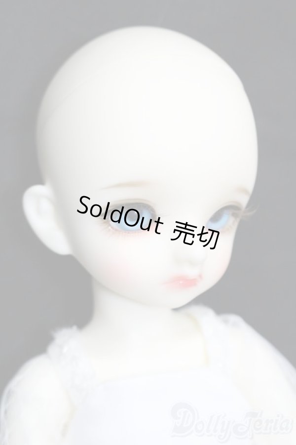 画像5: 【DOLK×BJD CROBI】White Cat Tori Girl -Limited- S-26-01-25-501-GN-ZS (5)