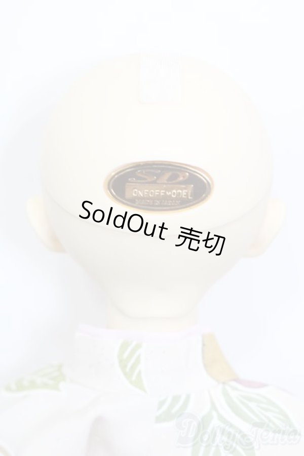 画像6: SD13女の子/シンディ:ワンオフモデル Yui様メイク S-25-01-19-154-GN-ZS (6)