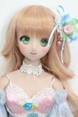 画像1: DD/D’COORD　DDH-08ヘッド S-25-04-20-586-GN-ZS (1)