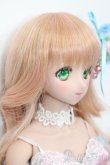 画像3: DD/D’COORD　DDH-08ヘッド S-25-04-20-586-GN-ZS (3)