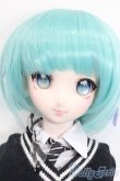 画像1: DD/DDH-09カスタムドール S-25-02-23-160-GN-ZS (1)