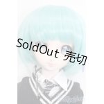 画像: DD/DDH-09カスタムドール S-25-02-23-160-GN-ZS