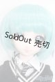 画像: DD/DDH-09カスタムドール S-25-02-23-160-GN-ZS