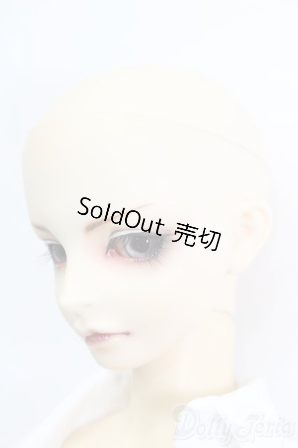 画像3: SD13BOY/DWC #01ヘッド+13BOY分割ボディ S-25-04-20-566-GN-ZS (3)