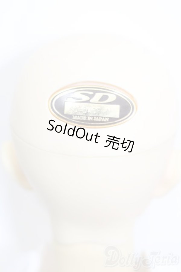 画像5: SD13BOY/DWC #01ヘッド+13BOY分割ボディ S-25-04-20-566-GN-ZS (5)