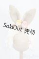 画像: SDM＆MSD/OF:小物 S-25-05-25-190-GN-ZS