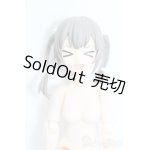 画像: azone/1/12アサルトリリィシリーズNo.032 『アサルトリリィ外伝』 岸本・ルチア・来夢(らいむ) S-25-04-13-522-GN-ZS