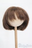 画像1: 9-10inch/ウィッグ S-25-03-04-319-YB-ZS (1)