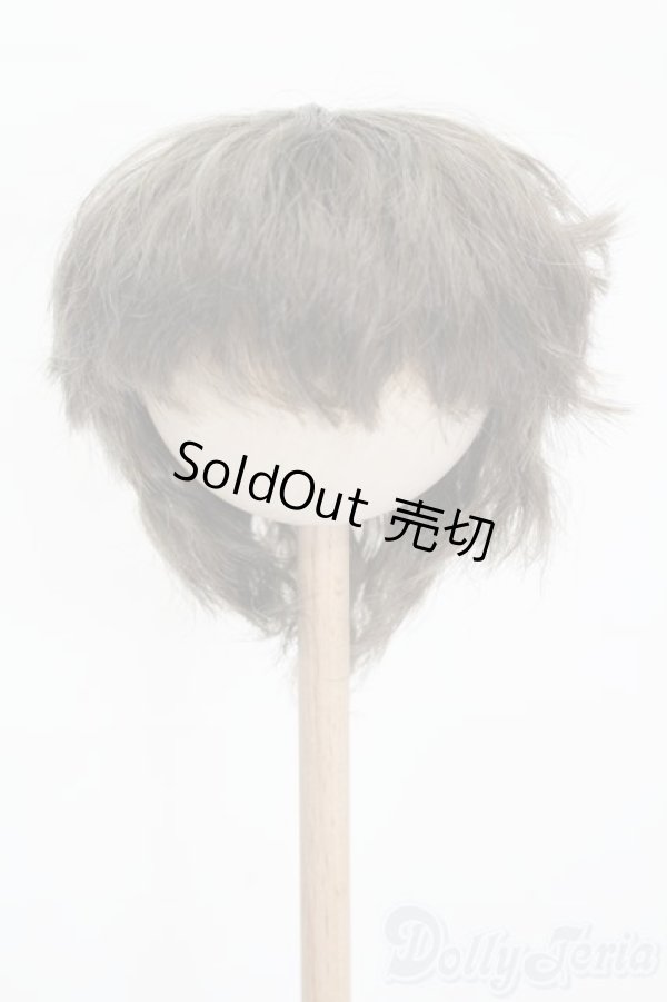 画像1: 8.5-9inch/ウィッグ S-25-12-14-306-GN-ZS (1)