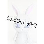 画像: CAPSULEDOLL/うさぎ S-25-02-02-227-GN-ZS