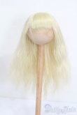 画像1: 5inch/ウィッグ S-25-03-16-147-GN-ZS (1)