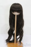 画像1: 9-10inch/ウィッグ S-25-04-13-389-GN-ZS (1)
