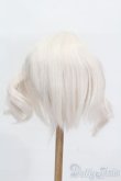 画像2: 9-10inch/ウィッグ S-25-03-23-349-GN-ZS (2)