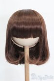 画像1: 9-10inch/ウィッグ S-25-03-23-345-GN-ZS (1)
