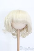 画像1: 9-10inch/ウィッグ S-25-03-23-350-GN-ZS (1)