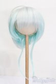 画像1: 9-10inch/ウィッグ S-25-03-23-361-GN-ZS (1)