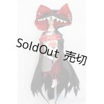 画像: MDD/OF:衣装セット S-25-02-09-080-GN-ZS