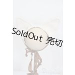 画像: SDM＆MSD/OF:小物 S-25-11-09-340-GN-ZS