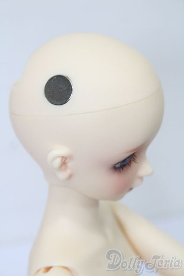 SDM/F-39：フルチョイス U-23-12-13-209-NY-ZU - DOLL UP!