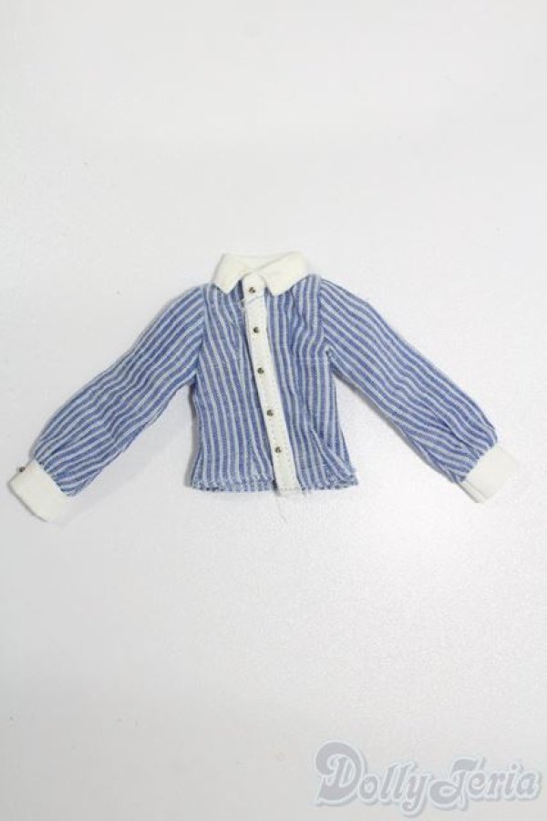 画像1: azoneピュアニーモ/OF:21cmサイズドール 衣装 S-25-07-06-096-GN-ZS (1)