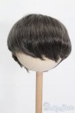 画像1: 8-9inch/ウィッグ S-25-04-20-325-GN-ZS (1)