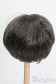 画像2: 8-9inch/ウィッグ S-25-04-20-325-GN-ZS (2)