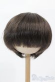 画像1: 9-10inch/ウィッグ S-25-03-23-387-GN-ZS (1)