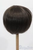 画像2: 9-10inch/ウィッグ S-25-03-23-387-GN-ZS (2)