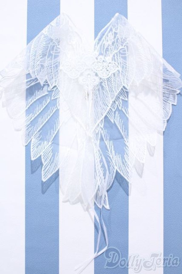 画像1: 【新宿マルイアネックス店 店頭販売商品】SD17B/OF:天使の羽根ショール 2100150000005239-ZM (1)