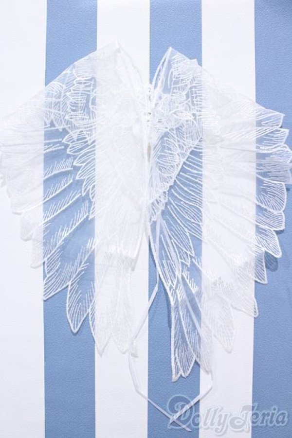 画像2: 【新宿マルイアネックス店 店頭販売商品】SD17B/OF:天使の羽根ショール 2100150000005239-ZM (2)