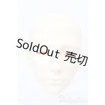 画像: Freedom Teller/Leuven S-25-08-31-537-GN-ZS